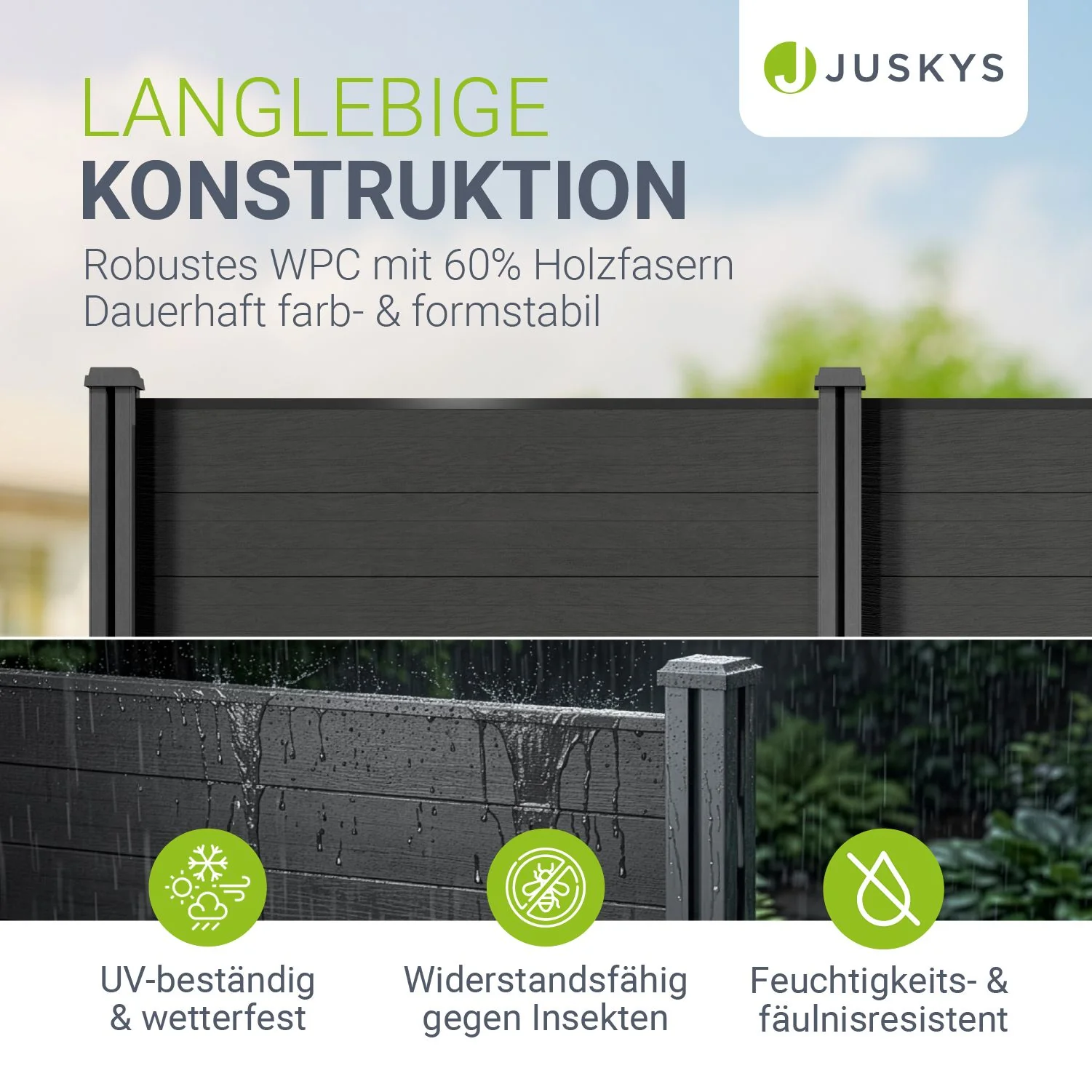 Vorschaubild 10